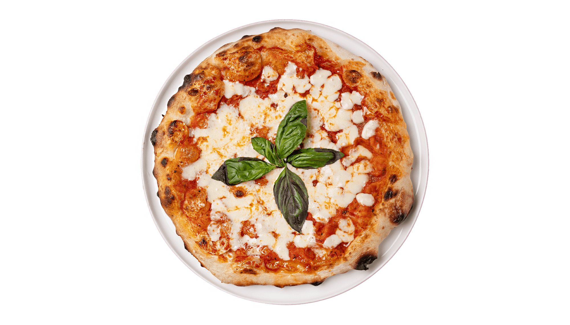 Pizza Margherita mit Mozzarella und frischem Basilikum bei TAMTAM Hamburg